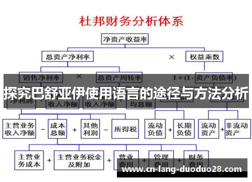 探究巴舒亚伊使用语言的途径与方法分析