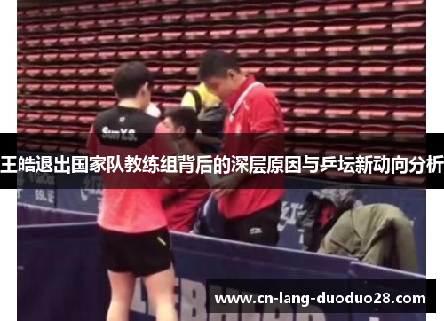王皓退出国家队教练组背后的深层原因与乒坛新动向分析
