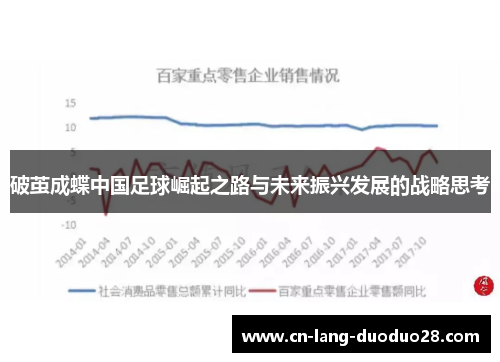 破茧成蝶中国足球崛起之路与未来振兴发展的战略思考